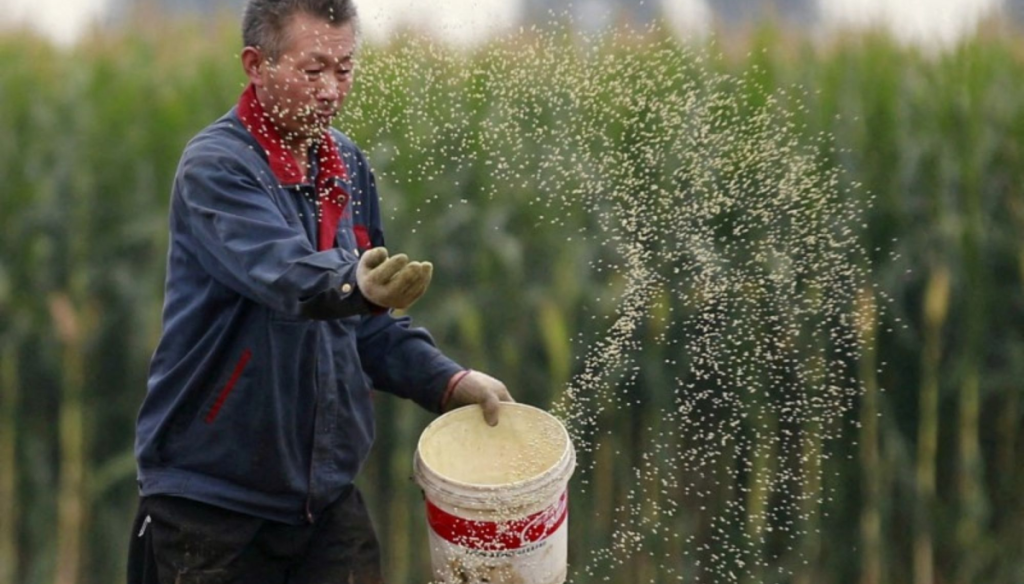 productor chino soja reuters