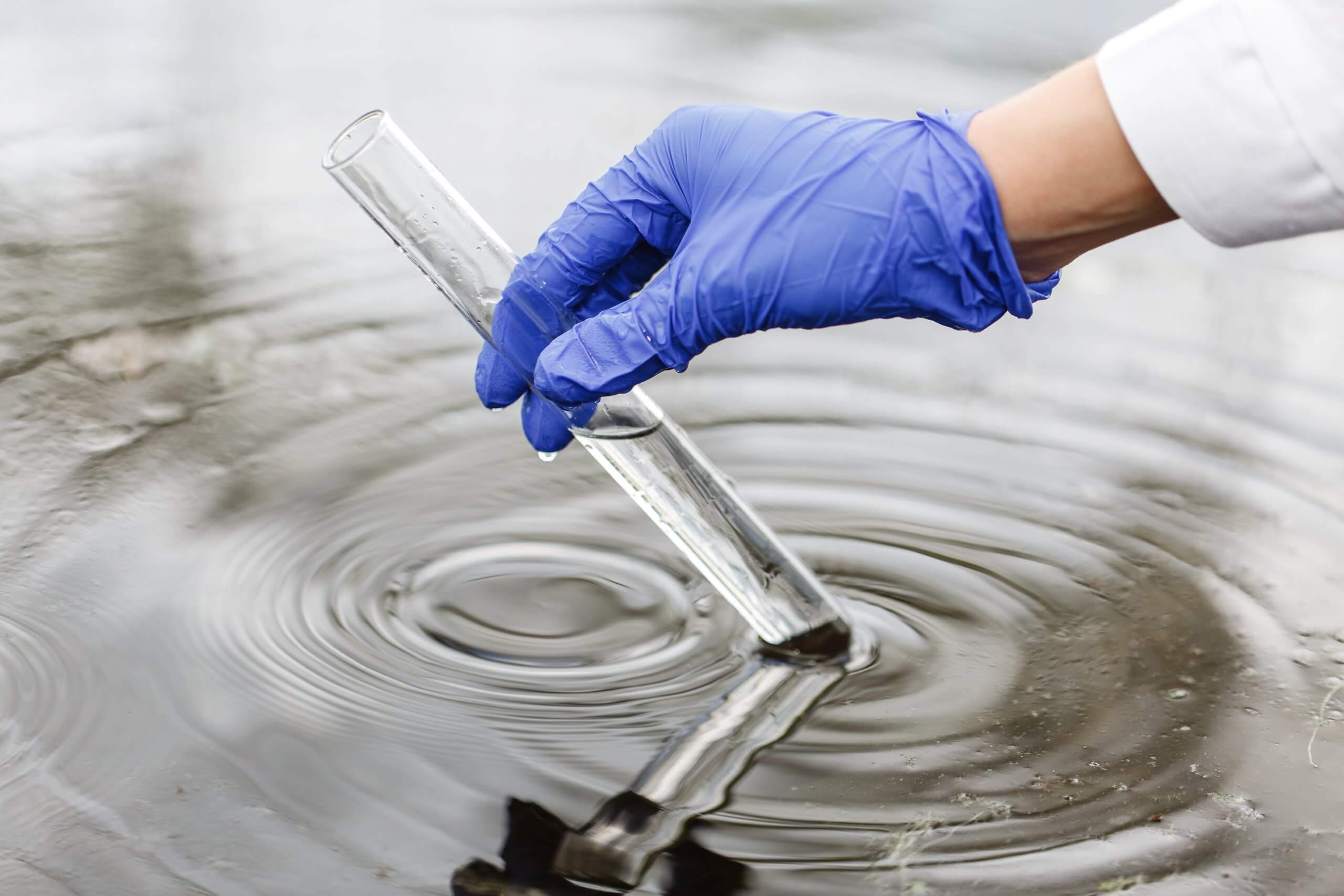 researcher holds test tube with water hand blue glove scaled