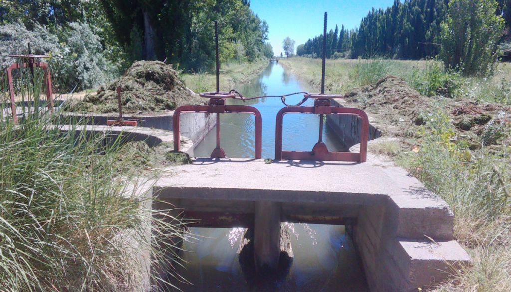 riego canal rio negro
