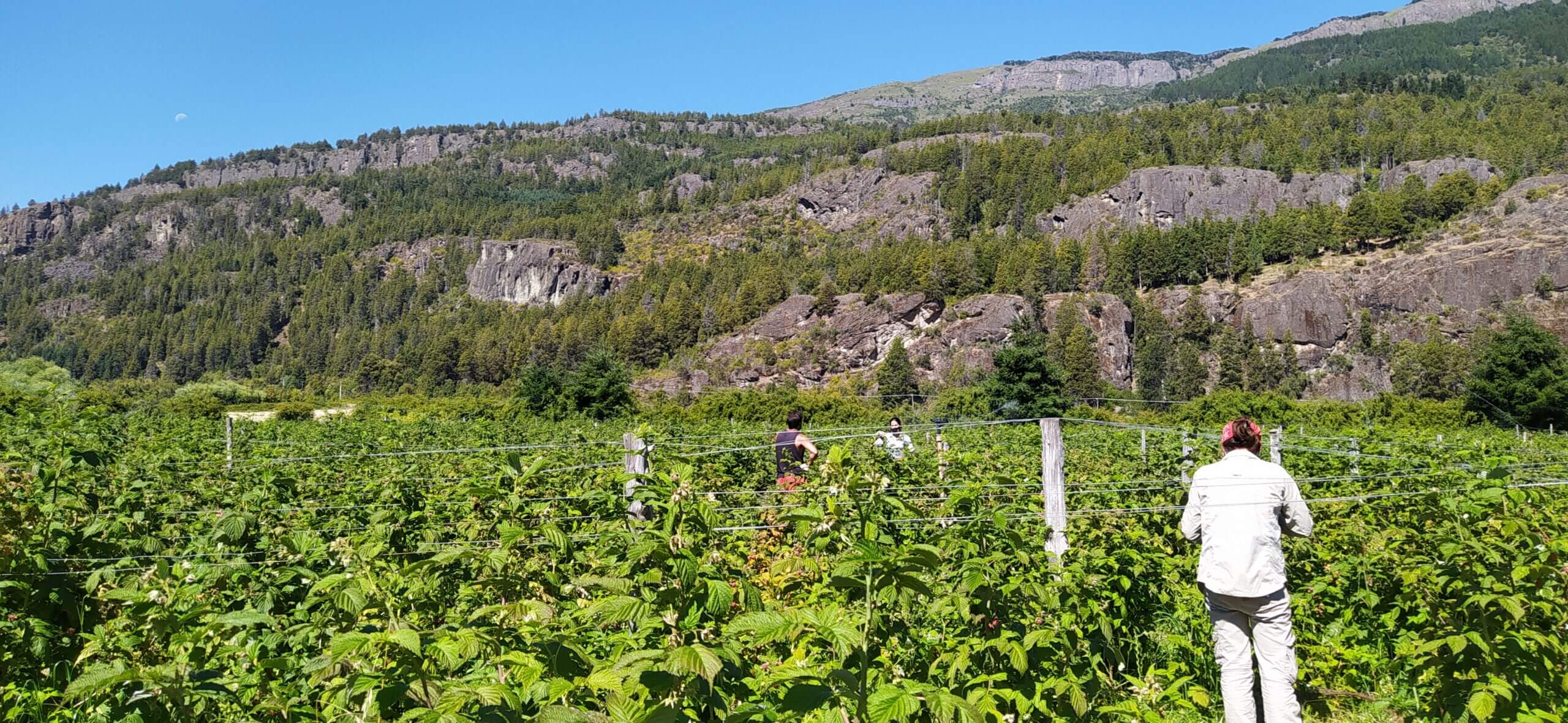 IMG 20210121 163741 scaled 1