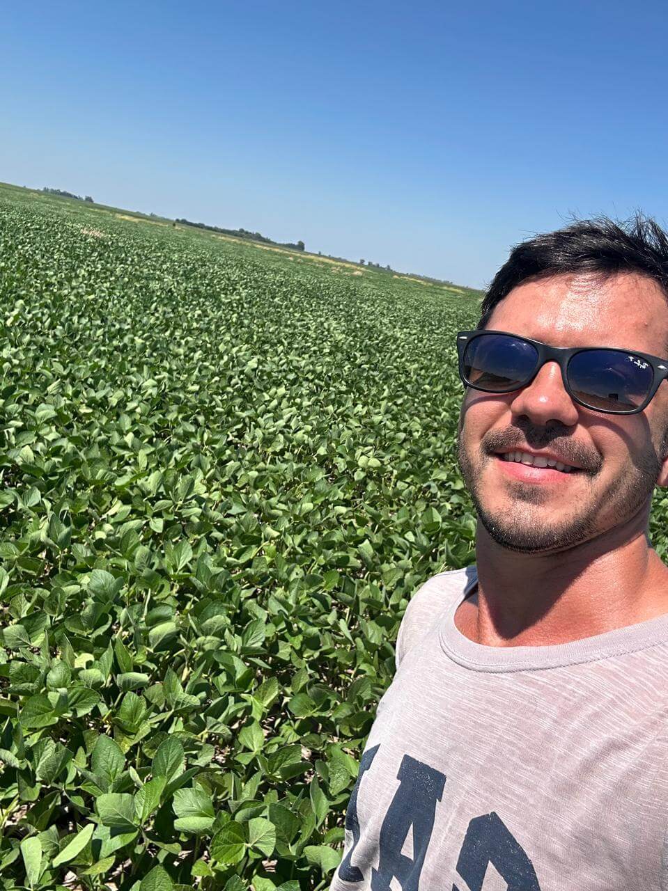 Lucio Chiesa campo 04 soja