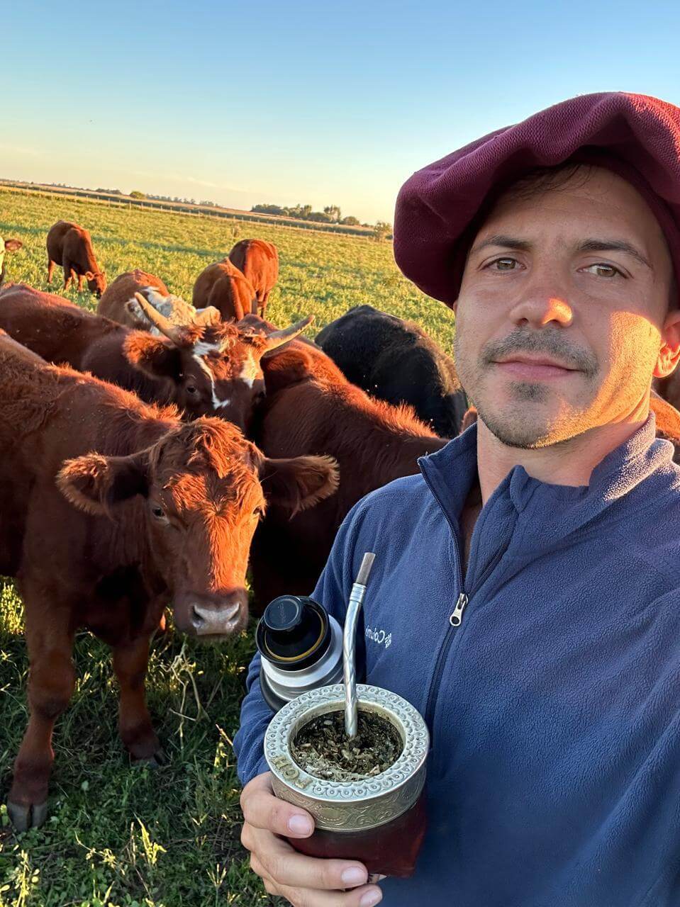 Lucio Chiesa campo 09 con vacas