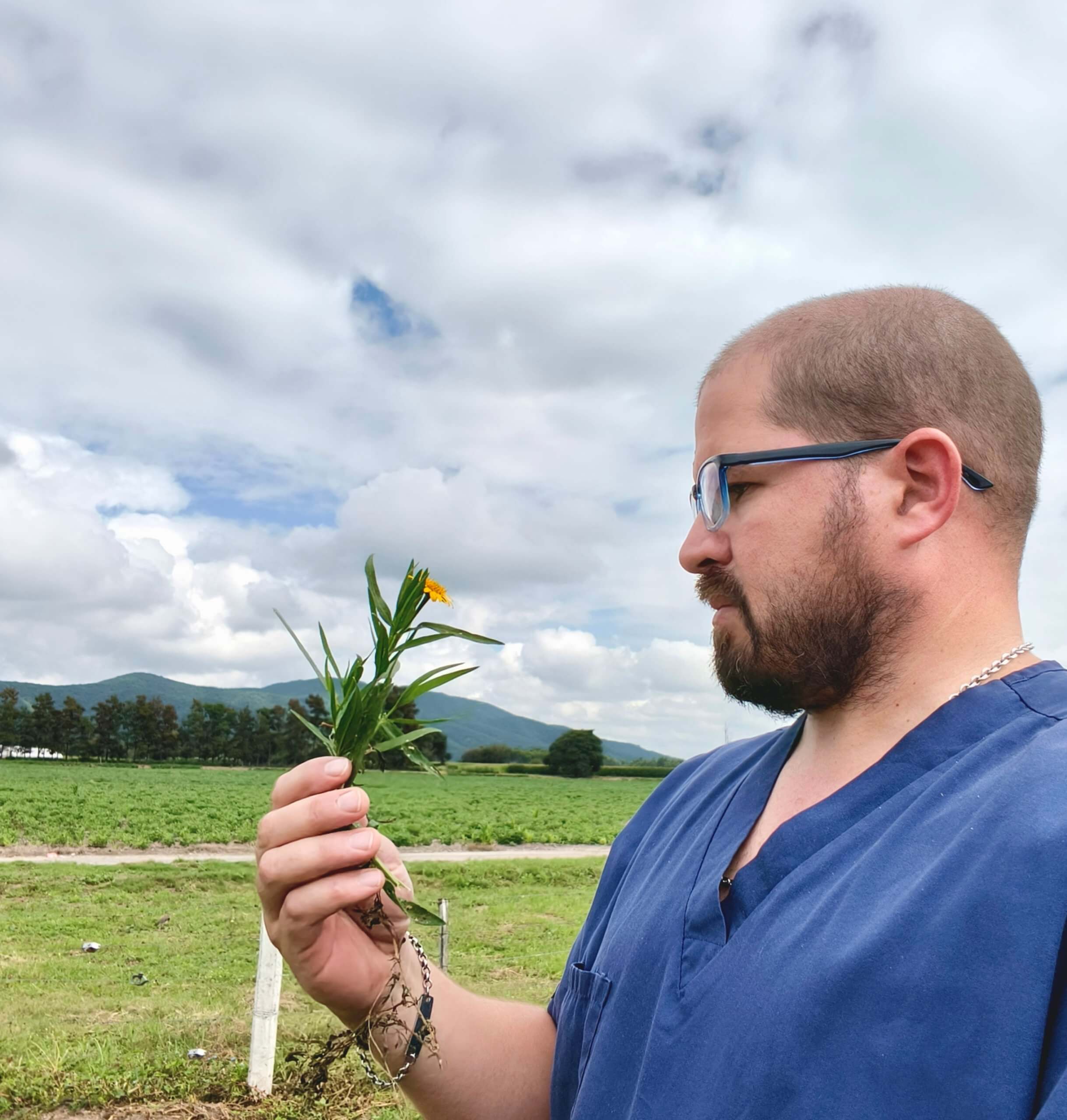 Micheluod con sunchillo scaled