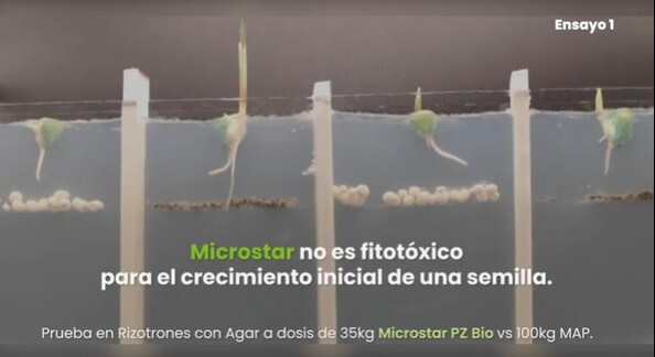 Microstar En microgranulados plantamos bandera