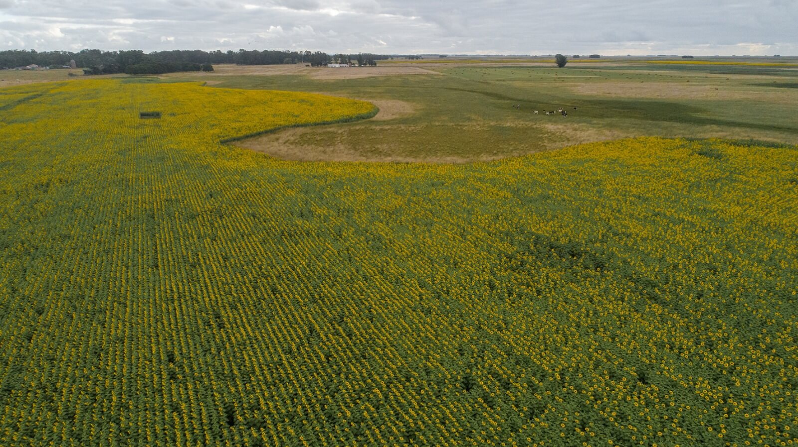 PHOTO 2026 04 22 09 45 45.jpg