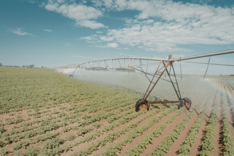 Riego beneficios fiscales 1 480x320 1