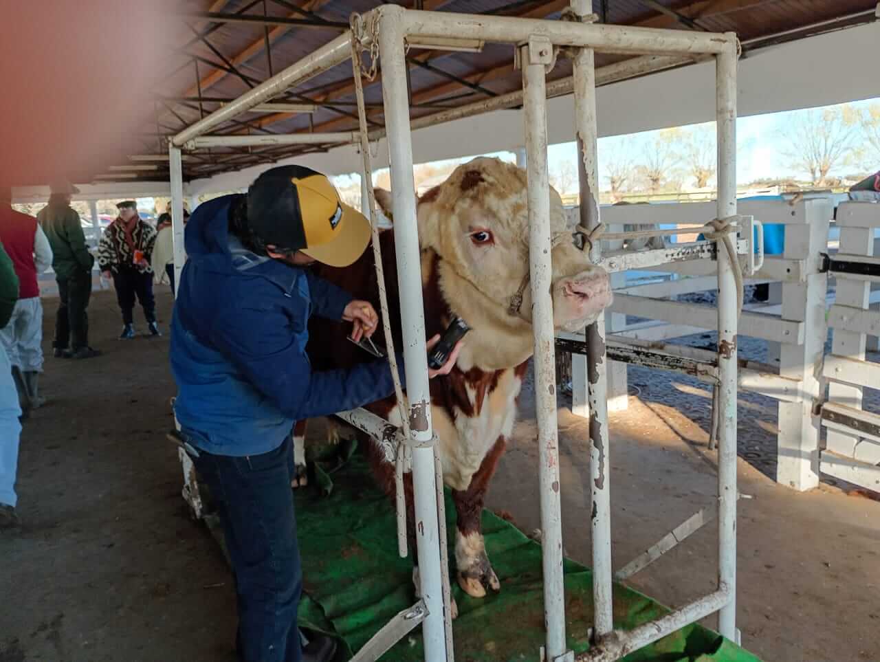 WhatsApp Image 2025 08 25 at 1.23.53 PM 1