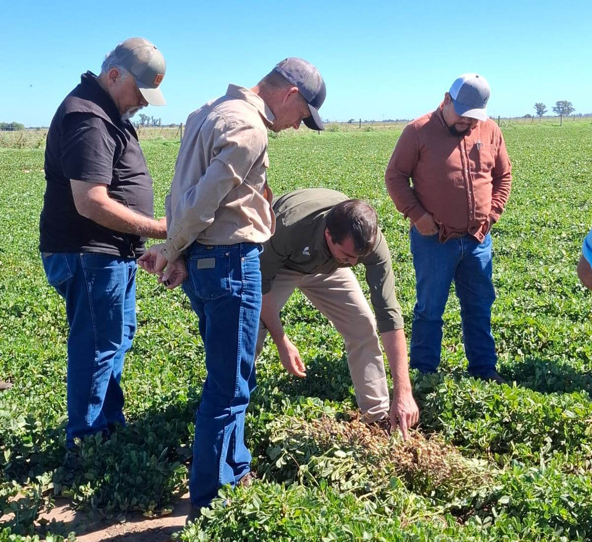 WhatsApp Image 2026 03 24 at 15.32.49