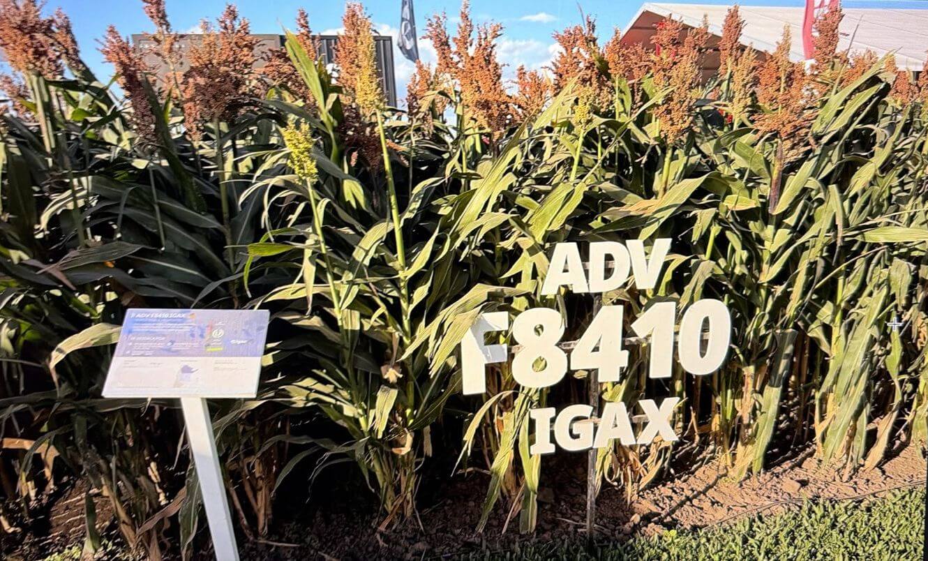 WhatsApp Image 2026 04 07 at 3.54.54 PM 1