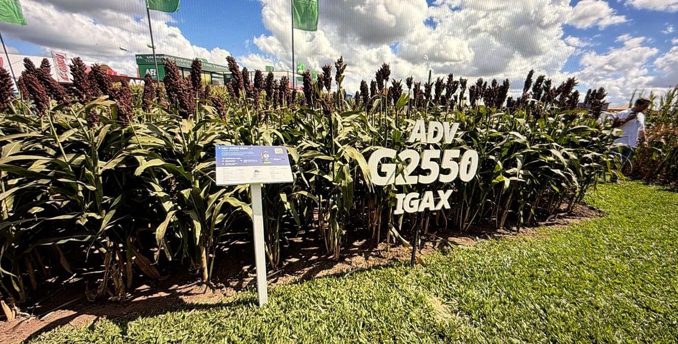 WhatsApp Image 2026 04 07 at 3.54.54 PM