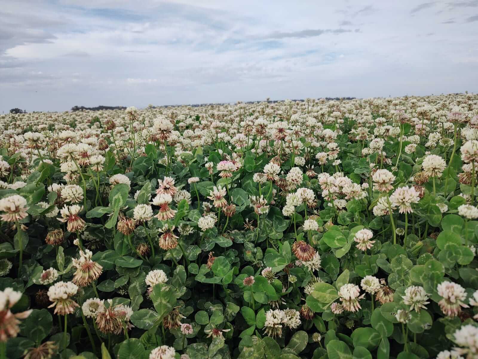 WhatsApp Image 2026 04 07 at 8.27.58 AM