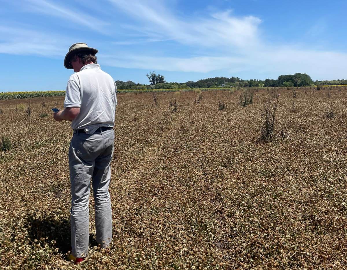 WhatsApp Image 2026 04 07 at 8.30.09 AM