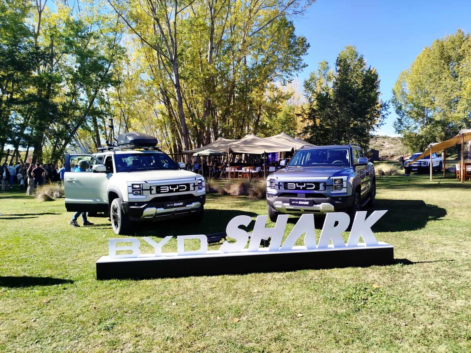 WhatsApp Image 2026 04 16 at 20.58.44