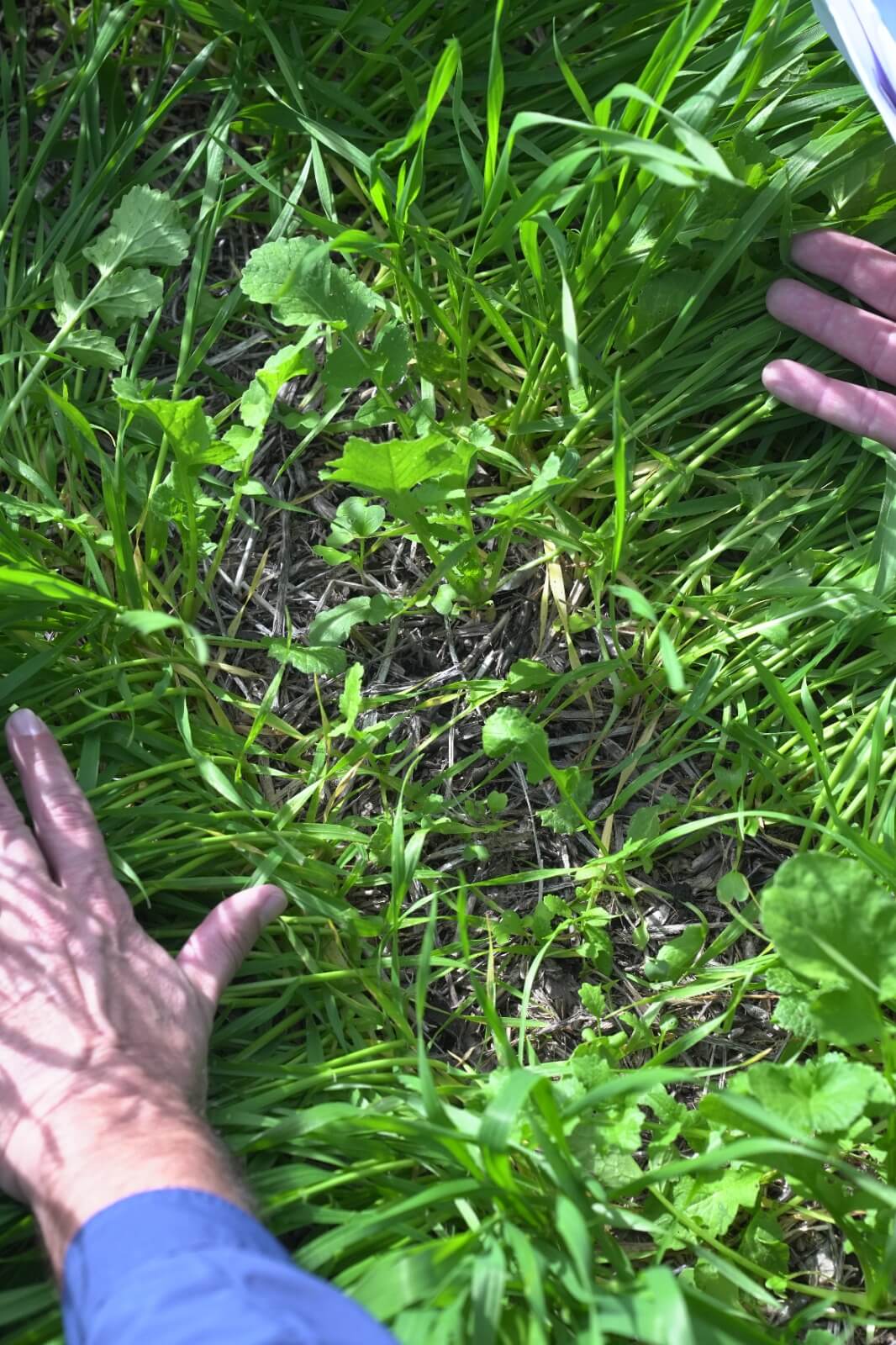 WhatsApp Image 2026 04 20 at 09.30.28