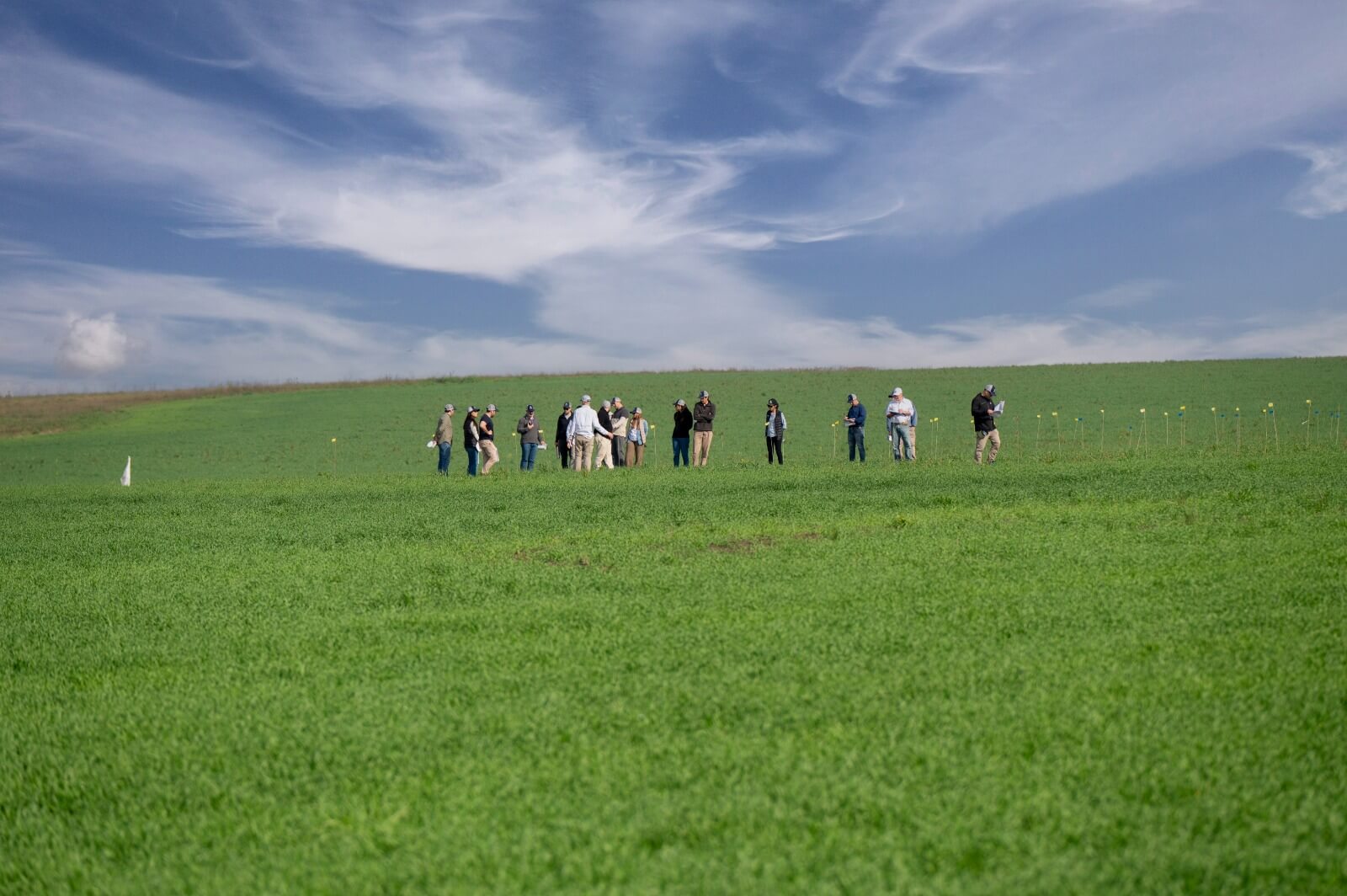 WhatsApp Image 2026 04 20 at 09.30.29 2