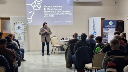 WhatsApp Image 2026 04 21 at 7.31.49 PM 1024x576 1