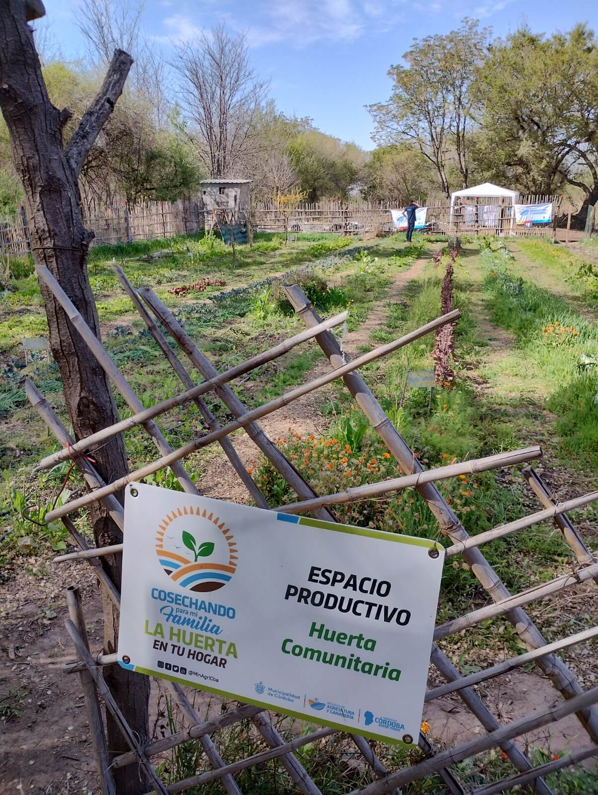 WhatsApp Image 2026 04 27 at 11.28.23