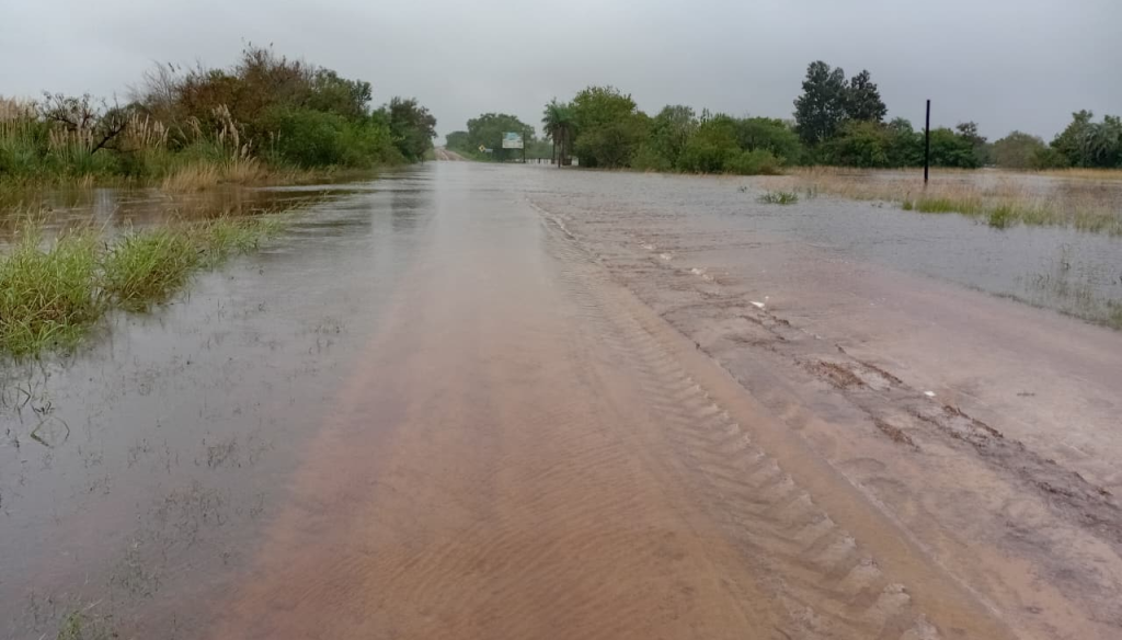 Santa Fe: aceleran la declaración de emergencia agropecuaria en las zonas inundadas
