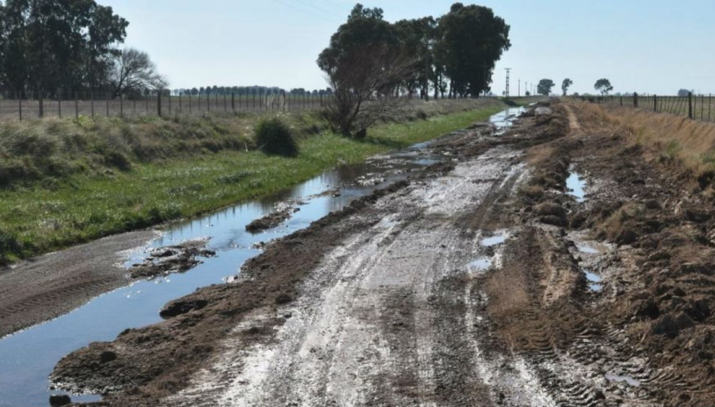 camino rural destrozado coninagro