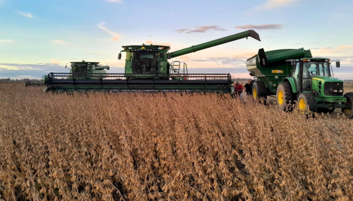 cosecha soja dante garciandia