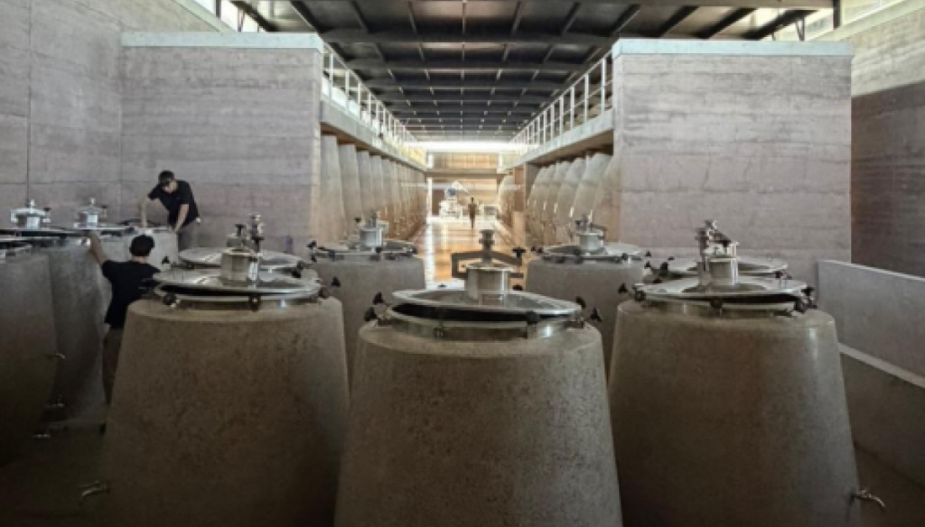 nueva bodega santa julia