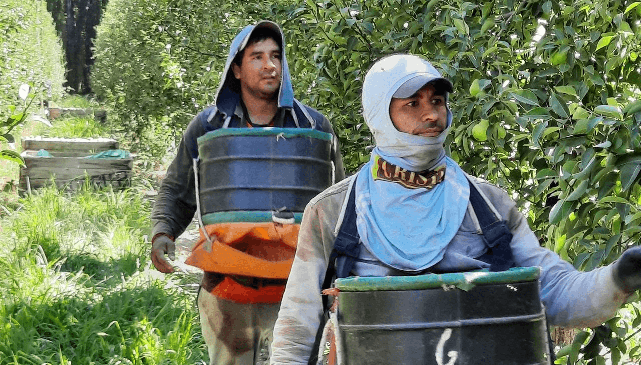 trabajador rural renatre