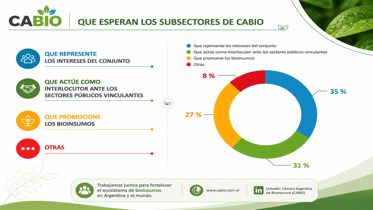 CABIO 3