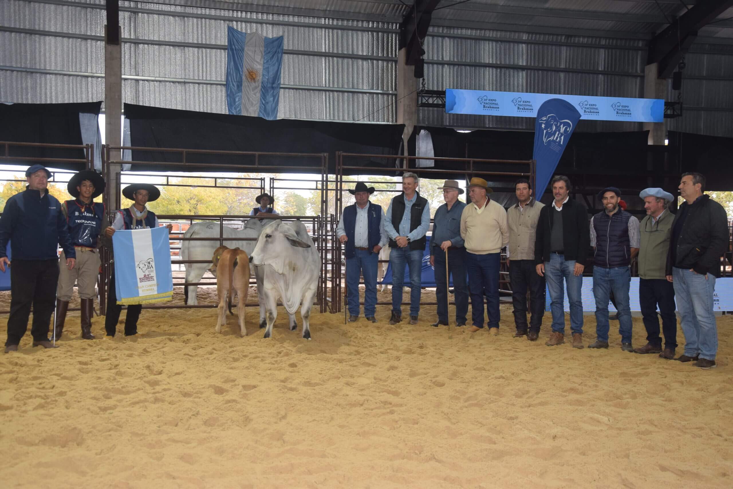 Descargar foto Gran Campeon Hembra Cabana Jota Jota