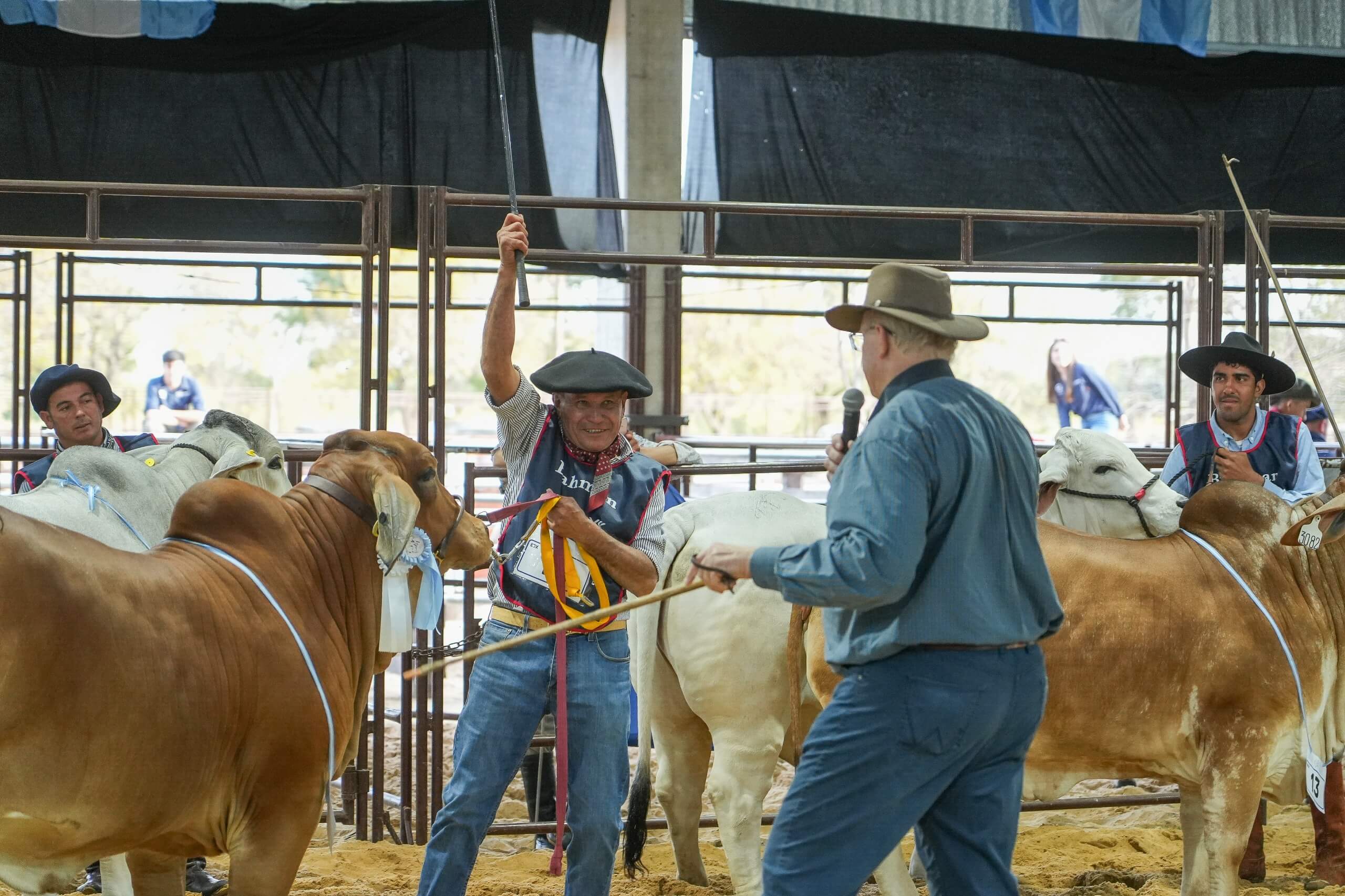 Descargar foto Tercer Mejor Hembra Cabana Marcaojo