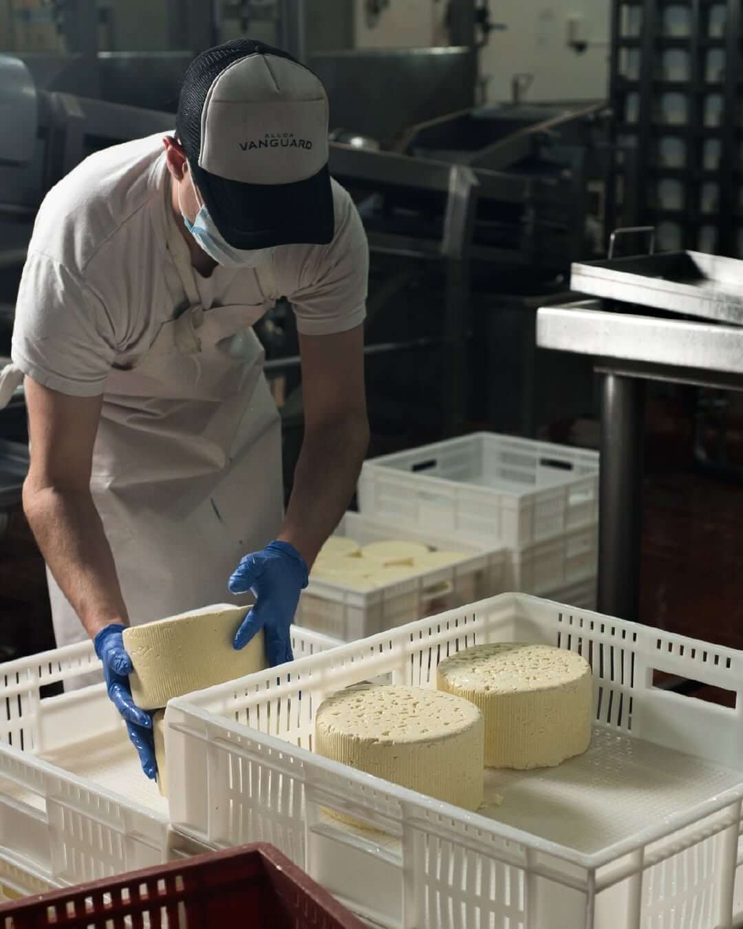 En Alloa Vanguard trabajamos dia a dia para llevar a tu mesa productos decalidad elaborados con