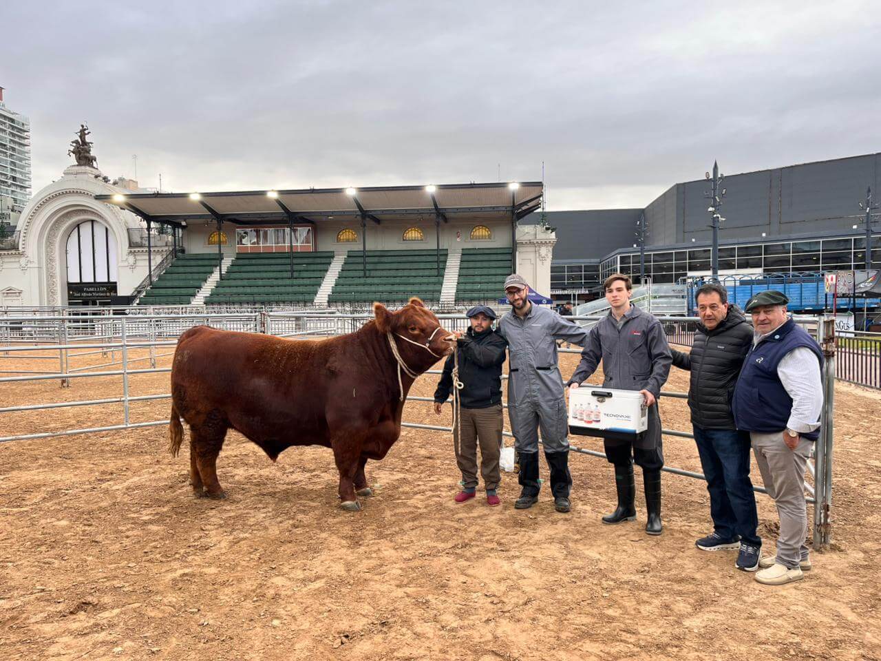 angus otono primer toro