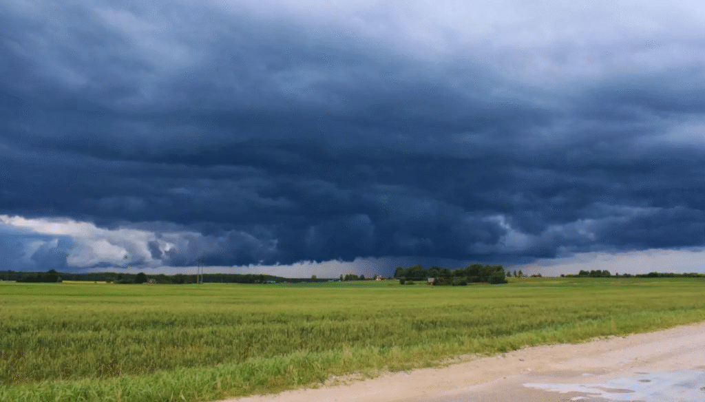El Niño se confirma en el horizonte: qué oportunidades y amenazas trae para el agro