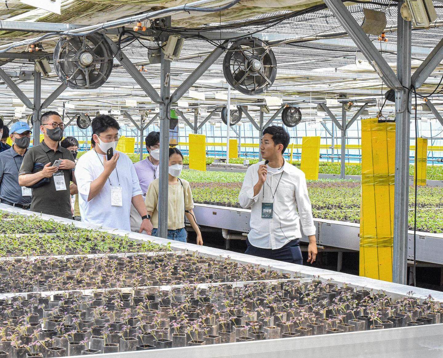 Corea del Sur y las mega granjas “sin tierra”: cómo funciona la agricultura inteligente que busca cambiar el agro 3 tercera