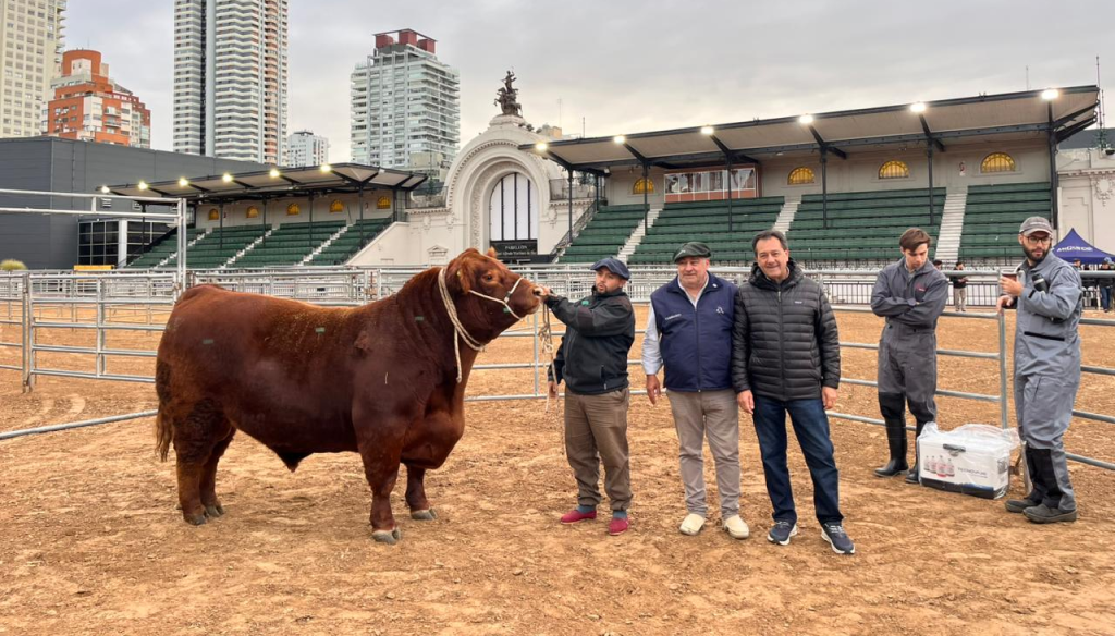 toro angus otono