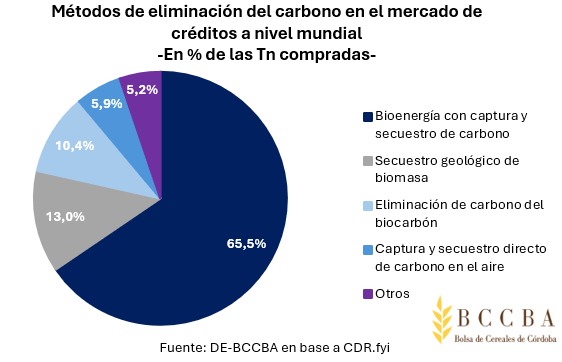 "Biochar": los números y el potencial de otro recurso con el que Argentina puede ser protagonista global 1 1
