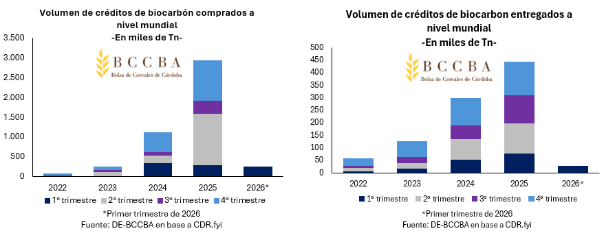 "Biochar": los números y el potencial de otro recurso con el que Argentina puede ser protagonista global 2 2