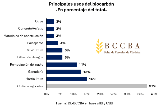 "Biochar": los números y el potencial de otro recurso con el que Argentina puede ser protagonista global 3 3