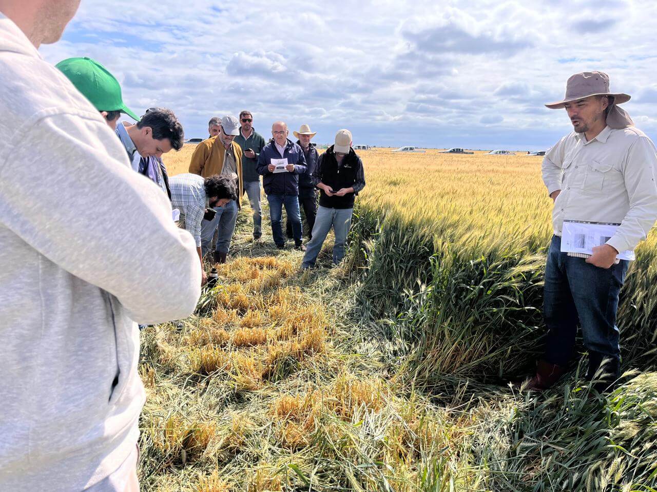 Arroyo con productores a campo902