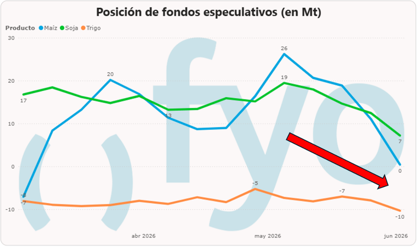 Imagen2