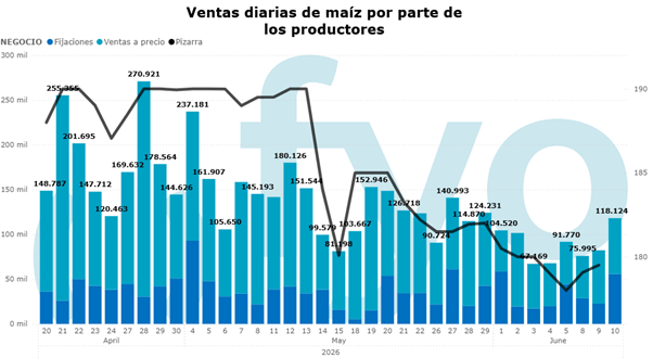 Imagen5