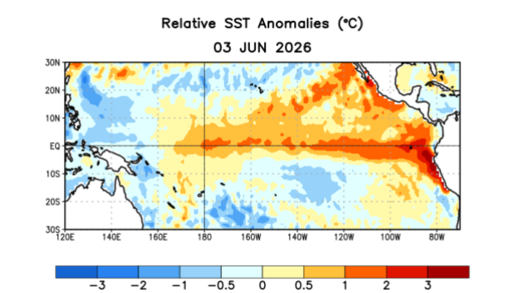 El Niño viene con todo: la probabilidad es del 100% a partir del invierno y con intensidad “muy fuerte”