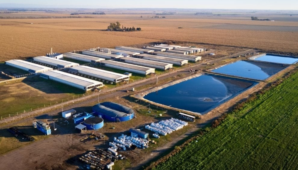 Producen biogás a partir de residuos agroindustriales y lograron un hito con los créditos de carbono