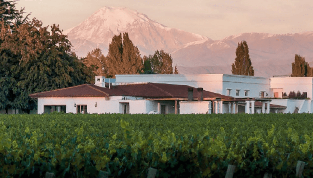 Se amplía con el vino: uno de los grupos agroindustriales más grandes de Argentina compró otra bodega