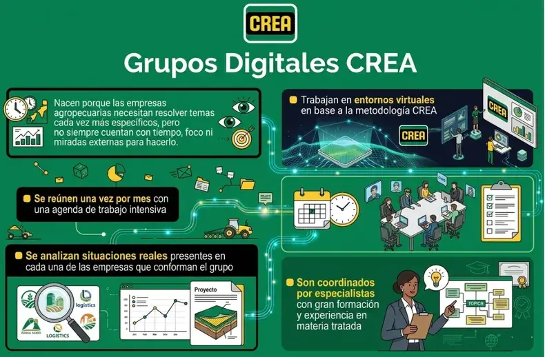 infografia