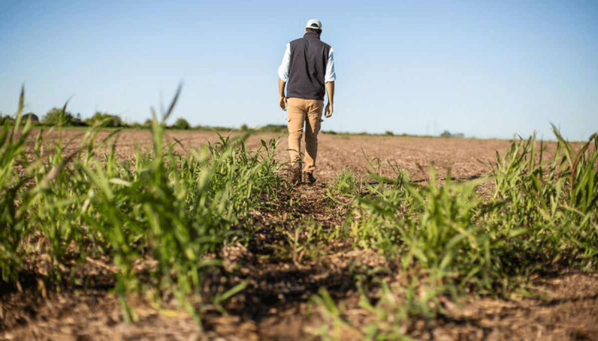 malezas productor syngenta