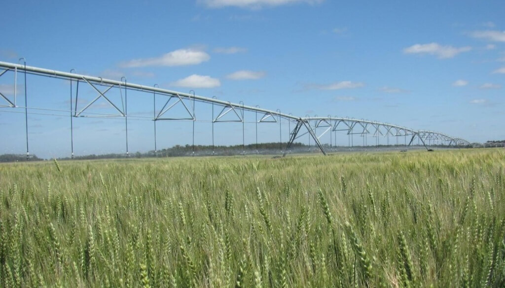 El riego, ante un cambio de paradigma: de tecnología complementaria a pilar de la nueva agricultura