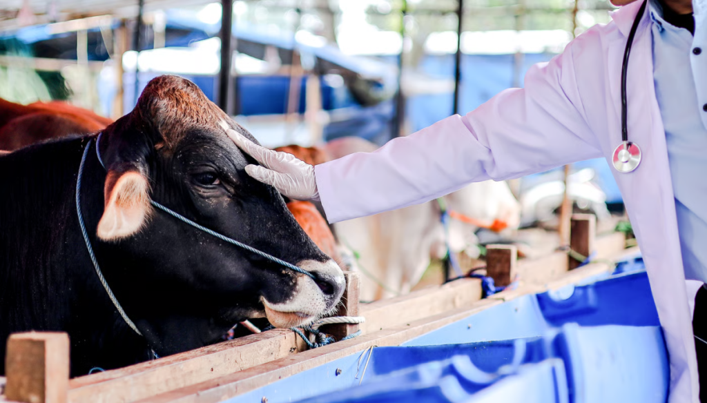 El ‘derrame’ del boom ganadero: “Vemos un incremento en la demanda de productos veterinarios”