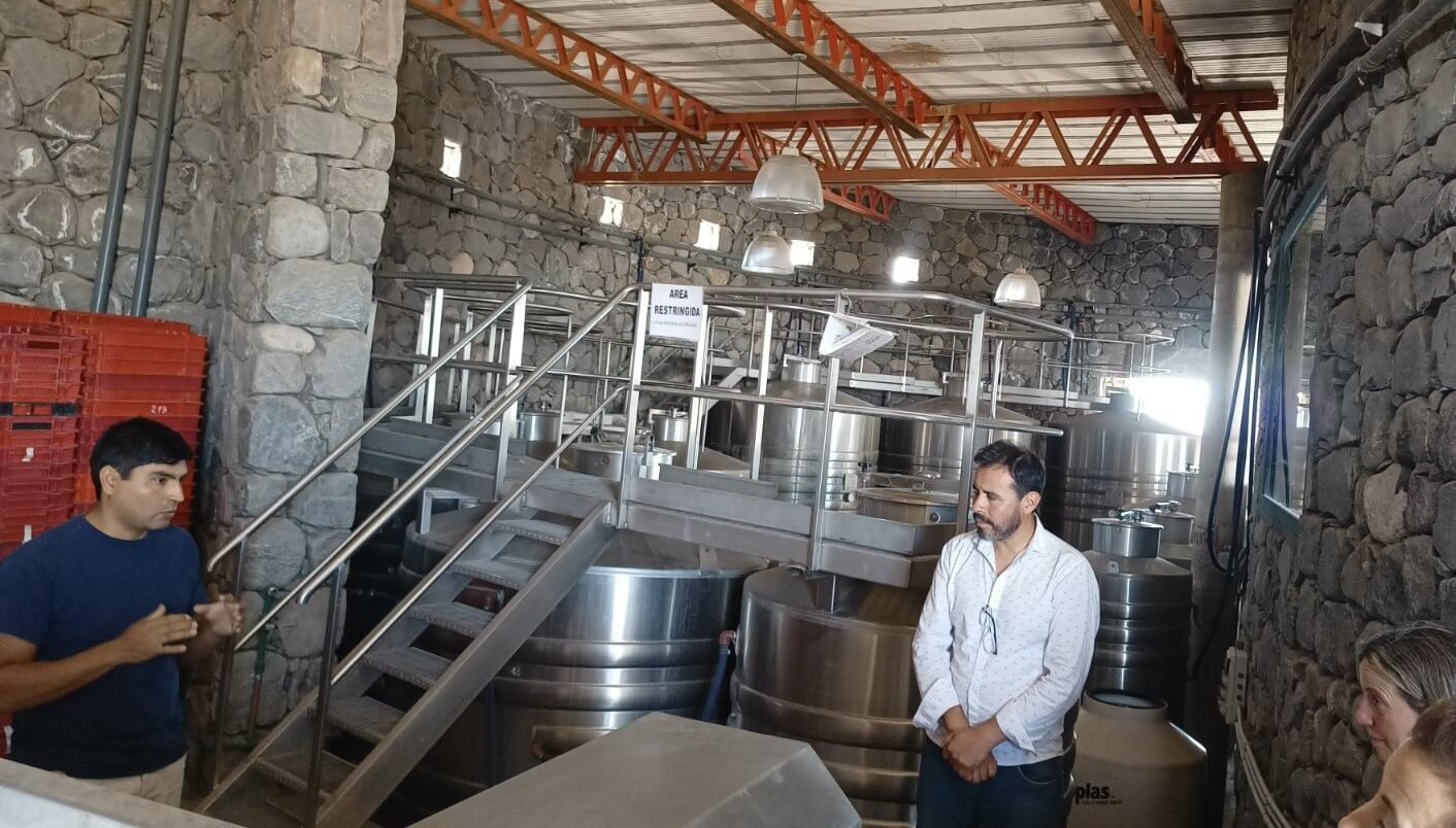 Bodega los amaichas e1783695679854
