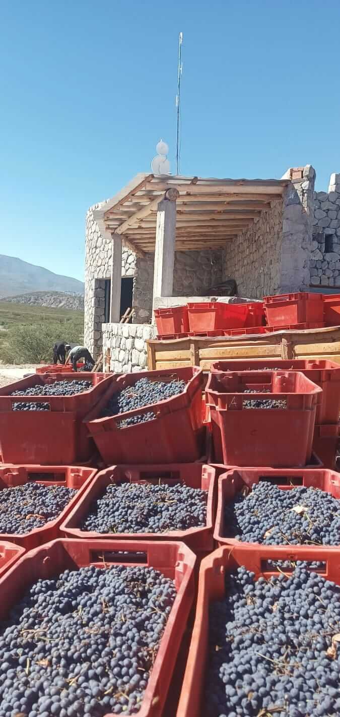 Bodega los amaichas 3 e1783695750383
