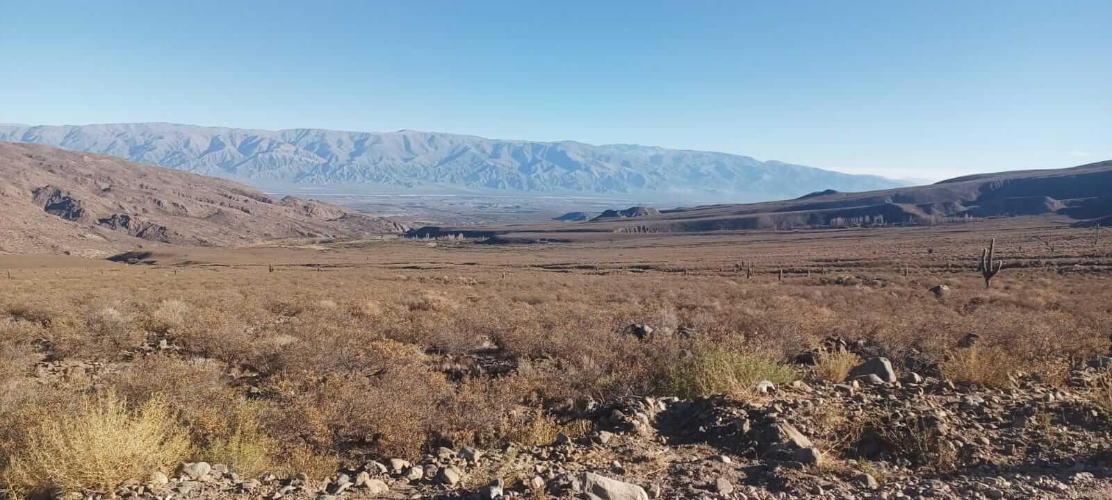 Uvas con raíz diaguita: el vino de Tucumán sale a competir de la mano de las criollas chicas 1 Bodega los amaichas 6